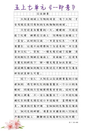 初生太阳，我们该如何绽放光芒？