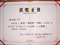 初中作文奖品，藏着怎样的成长故事？