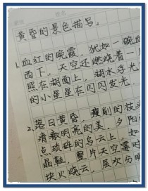 酉阳的作文有何独特之处？