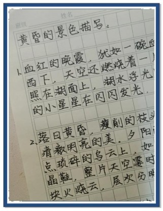 酉阳的作文有何独特之处？