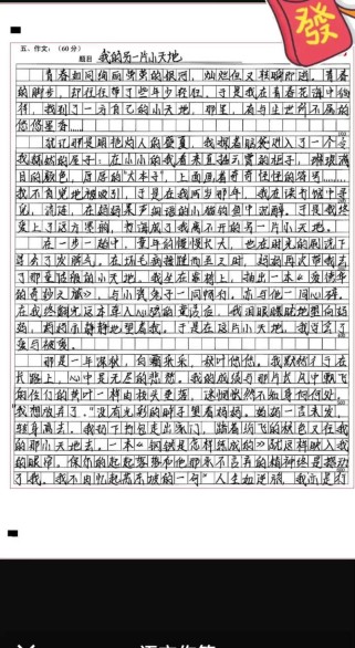 我的另一片天地藏着怎样的秘密故事？