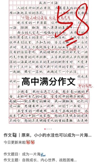 高考语文作文总分多少？