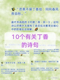 丁香入诗，何解愁绪深？