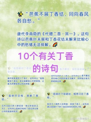 丁香入诗，何解愁绪深？