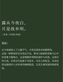 古诗中故乡月亮的思念，如何凝成永恒名句？