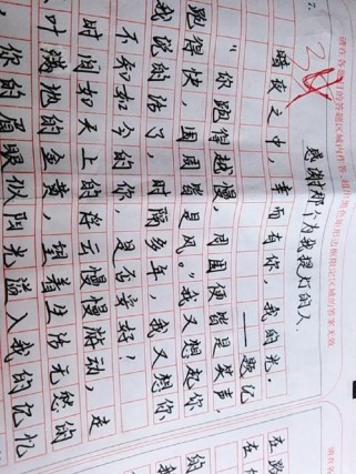 谁曾为我提灯，照亮前路？