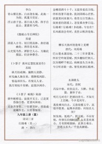 2025中考古诗词赏析重点考什么？