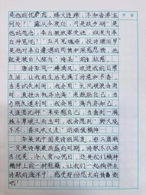 古诗文阅读积累类作文