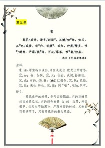 古诗菊花阅读理解答案是什么？