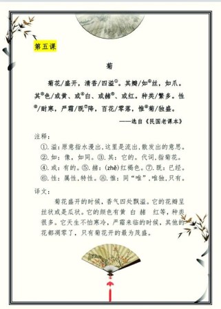 古诗菊花阅读理解答案是什么？