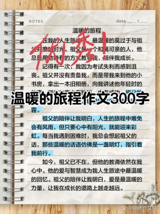 温暖旅程藏何情？