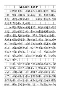 细节描写的满分作文