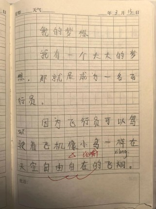 梦想为何能成为作文的永恒主题？