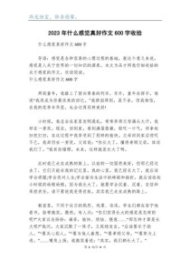 初中作文的感觉，为何如此特别？