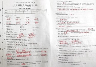 六年级上册第四单元试卷答案哪里有？