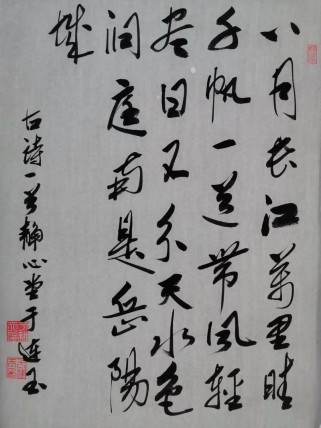 晴江秋望诗中藏了何种秋思？