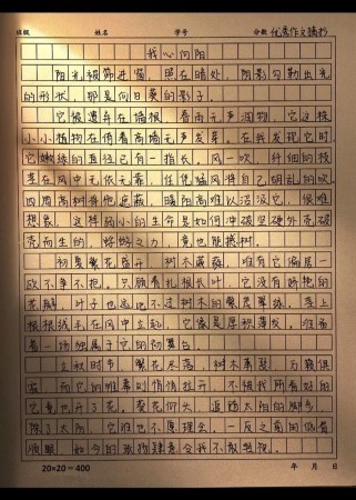 我心向阳600字作文