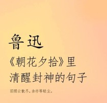 朝花夕拾第一章古诗有何深意？