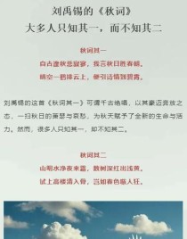 古诗秋思阅读理解答案是什么？