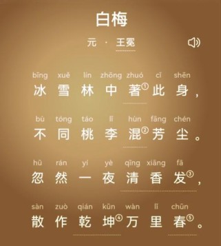 白梅元王冕古诗配画，诗画如何相映成趣？