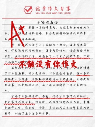 不能没有你作文中，你究竟指谁？