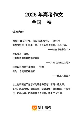 2025高考语文卷作文
