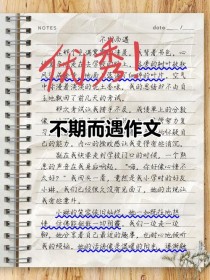 美在不期而遇，何处邂逅这份惊喜？