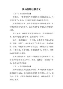 暑假的收获600字作文