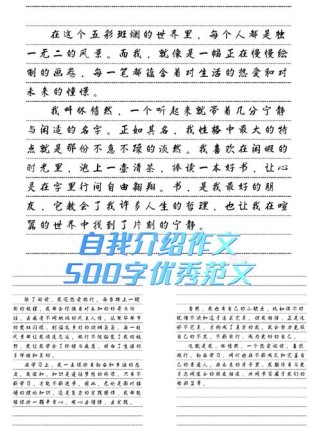 自我介绍七年级作文