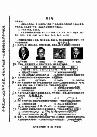 九年级的期中考试答案