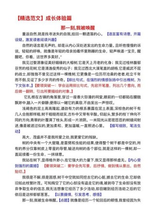 郑州中考语文作文素材有哪些优质内容？