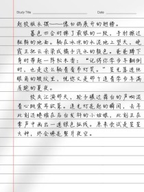 试试看话题作文800