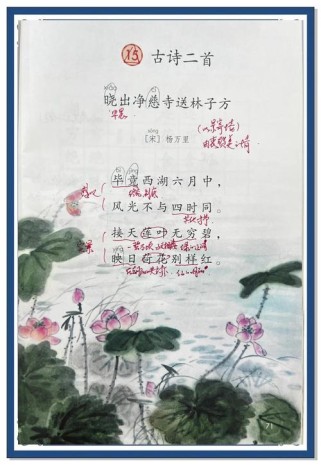 古诗二首有那些诗宋代