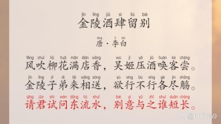 金陵酒留别古诗的视频