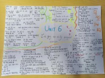 人教版八上英语Unit6重点是什么？