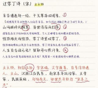 过零丁洋如何体现文天祥的家国情怀？