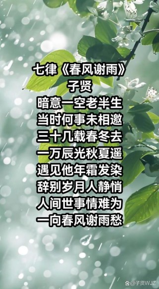 春风雨入诗，何句最传神？