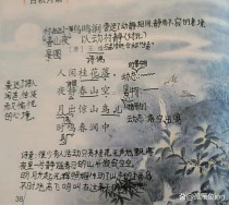 鸟鸣涧古诗二首何意？