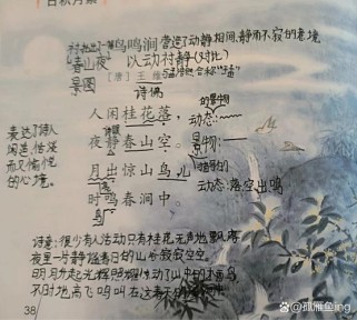 鸟鸣涧古诗二首何意？