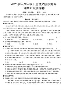 八年级期中语文卷考点难点解析？
