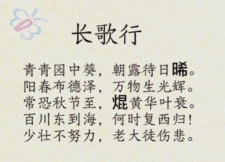 长歌行古诗朗读视频，如何传递诗意与情感？