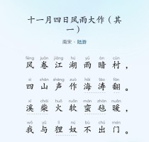 十一月四日风雨大作诗中藏着怎样报国志？