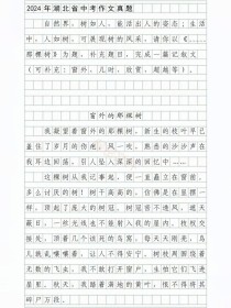 中考小作文如何写出彩？