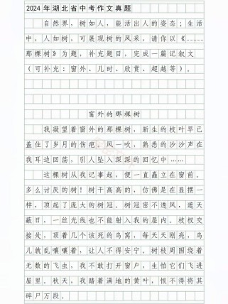 中考小作文如何写出彩？