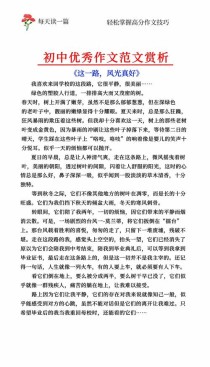 中考作文路上的风景