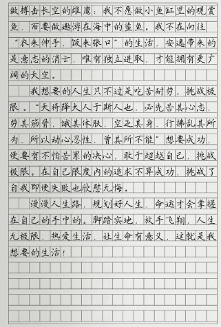 生活为题材的作文