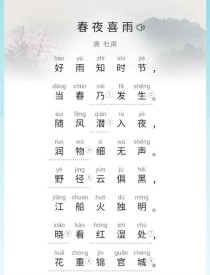 杜甫其一古诗阅读答案是什么？