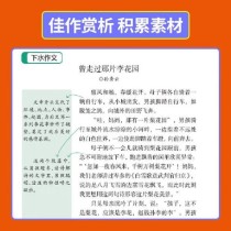 同步作文七年级上册怎么写？