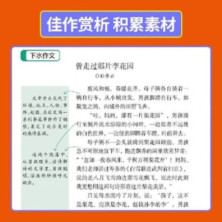同步作文七年级上册怎么写？