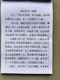 劳动节的作文600